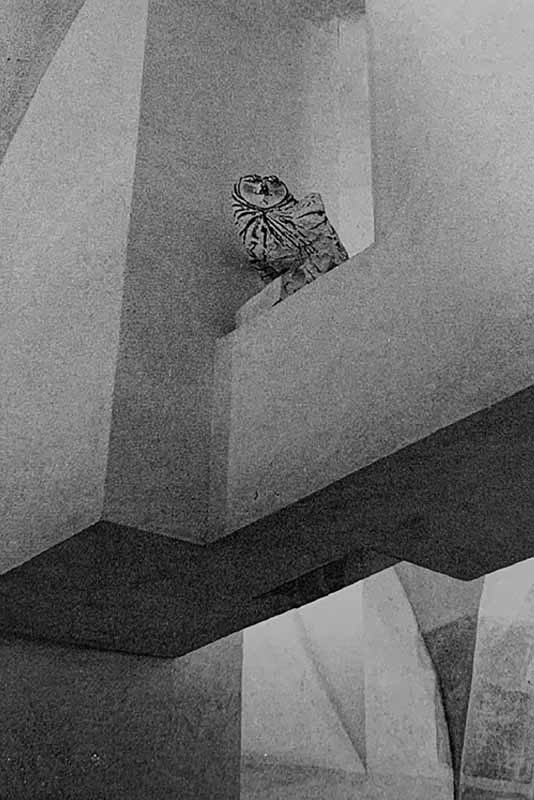 Panorama, bureau d’architecture - PIC - Réaménagement des espaces du Musée National Picasso Paris